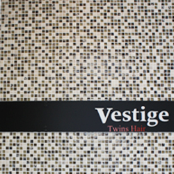 Vestige Photo